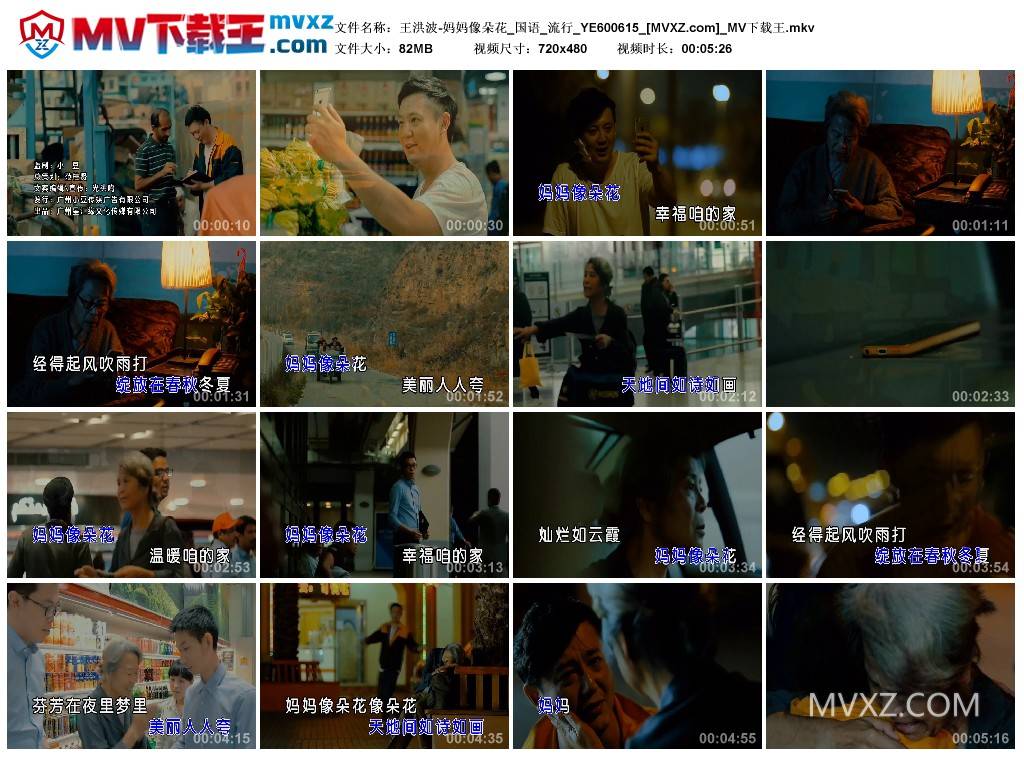 王洪波-妈妈像朵花_国语_流行_YE600615